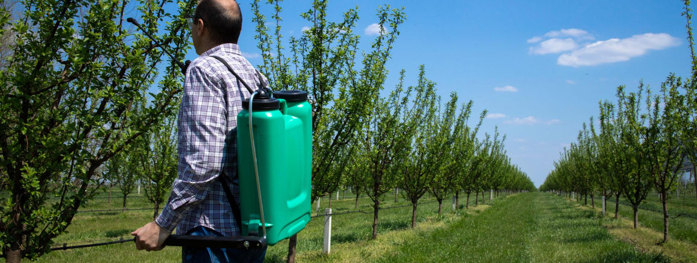 Calendarul tratamentelor pentru pomi fructiferi