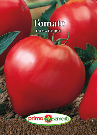 Tomate inima de bou