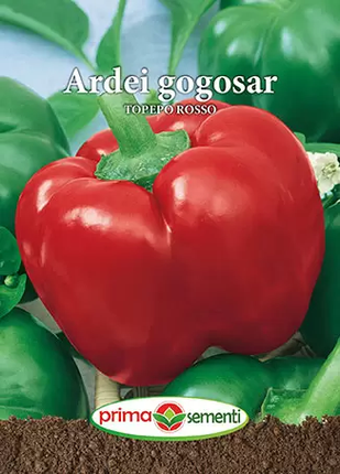 Ardei gogosar Topeto Rosso