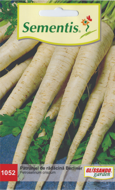 Patrunjel Berliner (radacina)